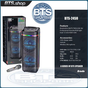 BTS-2459 Dual 12 inch DJ singing speaker charging party karaoke speaker With rechargeable mic