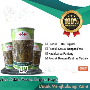 Benih Seledri Bamby 50 Gram Cap Panah Merah Kemasan Kaleng