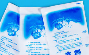 Set 10 Túi đá gel khô 100/200/400/600/1000ml không chứa nước bảo quản trái cây thực phẩm tươi bảo quản lạnh vận chuyển