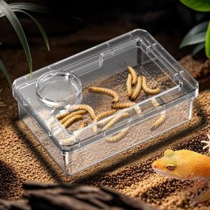 UNIITY Prevent Tenebrio Molitor and Blaptica Dubia Feeding Bowls Anti Overturning Reptile Lizards Geckos Water Bowls Transparent Feeding Basin