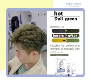 [SG local shipment]mens hair dye plant-based hair dye 2 * 100ml free gift: hair dye tool  can cover grey hair