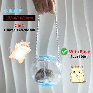 【READY-STOCK】2 in 1 Hamster Exercise ball hamster wheel rolling ball Hamster Crystal Running Ball With Rope 仓鼠跑球 仓鼠运动滚球 仓鼠玩具 仓鼠减肥神器 Mainan Hamster
