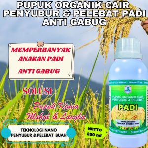 Pupuk Padi Terbaik Obat Padi Semprot Perbanyak Anakan Padi Pupuk Padi Anti Gabug Pupuk NPK Cair