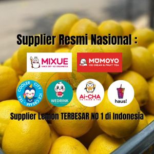 SUUR LEMOEN ID - Buah Jeruk Lemon California Super 1kg