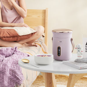 TER 500W Electric Stew Pot Slow Cooker Tea Maker Portable Hot Pot Prridge Soup Maker with Appointment For Home Travel 600ml