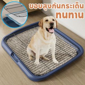 【KenCo】COD ถาดรองฉี่สุนัข ห้องน้ำสุนัขขนาดใหญ่ 2 ชั้น ห้องน้ำสุนัข ที่รองฉี่ ขอบสูงกันกระเด็น