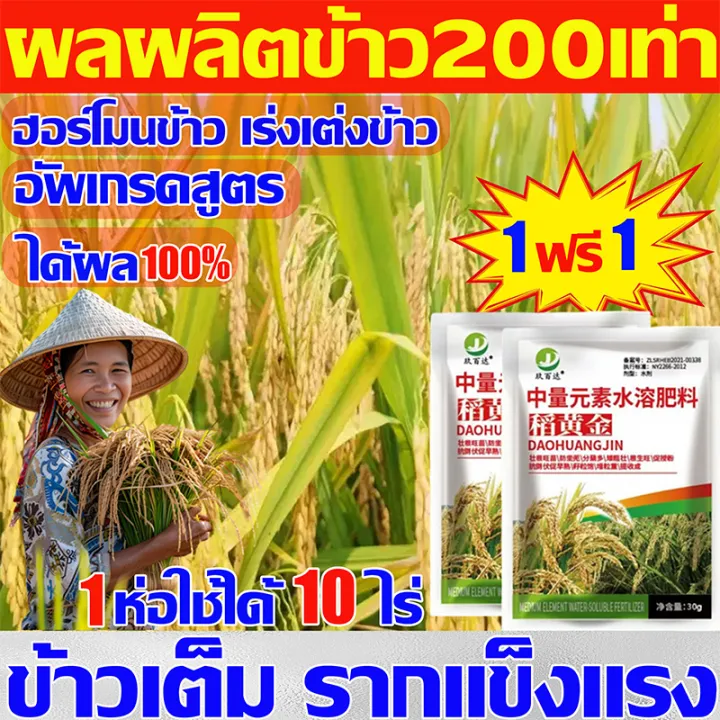 ปุ๋ยพิเศษสำหรับข้าว ซื้อ1แถม1 ฮอร์โมนพืชข้าว เร่งเต่ง เพิ่มน้ำหนัก