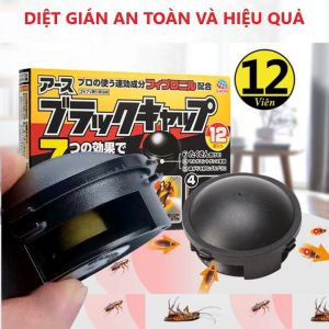 Hộp 12 viên diệt gián Nhật Bản diệt sạch gián tận gốc khử mùi.