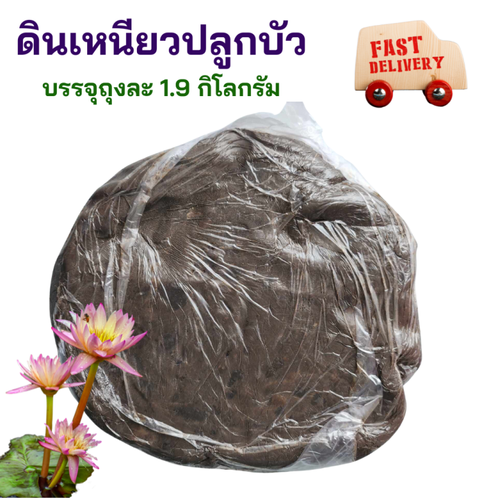 ดินเหนียวปลูกบัวและไม้น้ำ เนื้อเนียนละเอียด 1.9 กก.