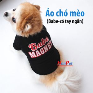 Quần áo chó mèo Babe tay ngắn