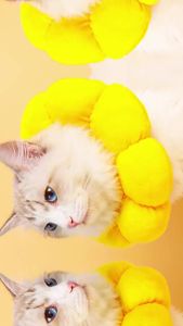 Pet Recovery Collar Anti-Licking Coverage Scratch Protection for Cats for Dogs for Home Care and Daily Use Suitable for Storage pet collar for dogs collar pet collar Home Care