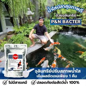 จุลินทรีย์ปรับสภาพน้ำใส เสริมแร่ธาตุและเอนไซม์ ไม่มีสารเคมีปลอดภัย💯 P&N Bacter 250g