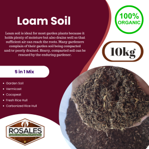 High Grade Loam Soil for hydrponics system have 5 in 1 Composition pure organic fertilizer