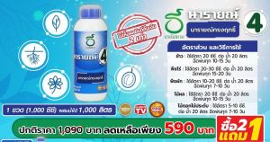 นารายณ์ทรงฤทธิ์ สูตร4 ชนิดเข้มข้น 1000 ซีซี ช่วยเร่งผลให้ใหญ่ขึ้น ผิวสวยสดใส น้ําหนักมากขึ้น รสชาติและเนื้อแน่นยิ่งขึ้น