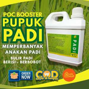 Pupuk Organic Cair Booster Pelebat Padi Pupuk Organik Padi Pupuk Memperbanyak Anakkan Padi Kemasan 1liter