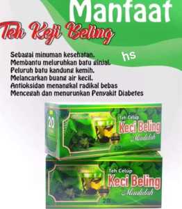 TEH CELUP DAUN KEJIBELING KECI BELING KEJI BELING UNTUK BATU URINE HERBAL KENCING BATU