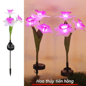 Đèn trang trí năng lượng mặt trời hoa thủy tiên tích kiệm điện bóng siêu sáng chống thấm nước - DA3160