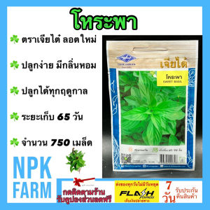 เจียไต๋ โหระพา หมดอายุ 12/2569 จำนวน 750 เมล็ด/ซอง เมล็ดพันธุ์ ลอตใหม่ งอกดี ปลูกง่าย โตไว มีกลิ่นหอมมาก ปลูกได้ทุกฤดูกาล