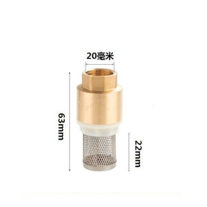 1/2" 3/4" 1" Brass Foot Valve With Filter Water Pump Foot Valve