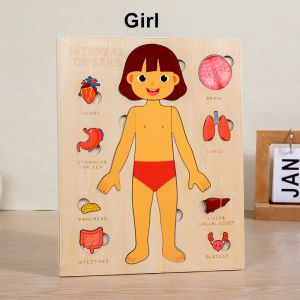 Wooden Human Body Puzzles for Toddlers Anatomy Puzzle Skeleton Human Body Organ for Kids Educational Learning Preschool Toys