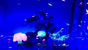 Fluorescent (Glowing) Aquarium Decoration Artificial Plants (Sea Creatures) Rm 11.90