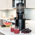 Us purchasing Omega Juicer JC2022BK11 slow juicer cold pressed fruit juicer 110v. 
