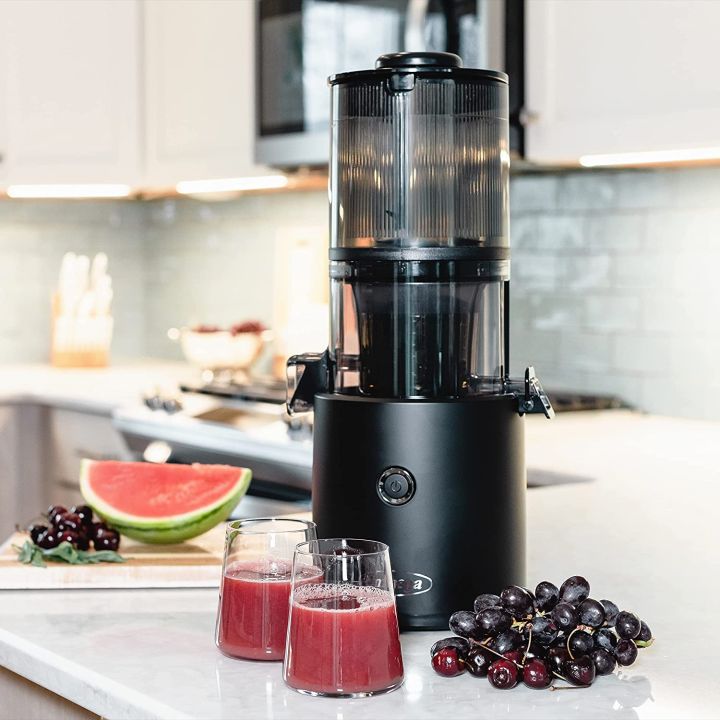 Us purchasing Omega Juicer JC2022BK11 slow juicer cold pressed fruit juicer 110v
