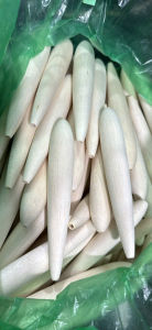 Phôi gỗ Balsa làm phao lục phao đài câu cá nhiều mẫu nhiều cỡ và nhiều dáng khác nhau