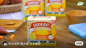 [Mom & Baby Land] Hooray Baby Puree Vegetables/Chicken 12m+  Ready To Eat (Makanan bayi instant/ Halal)