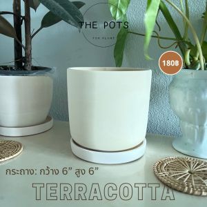กระถางมินิมอล กระถางต้นไม้ กระถางดินเผา กระถางดินขาว ขนาด 6" สูง 6" รวมจาน มีให้เลือก 2 แบบ ทรงสวย เหมาะกับการแต่งห้อง แต่งคอนโด มากค่ะ