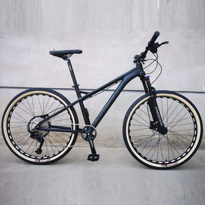 PM70 PROMAX AND 29ER MOUNTAIN BIKE Steel Frame Bike For Youth