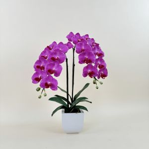 แจกันกล้วยไม้ประดิษฐ์ กล้วยไม้ฟาแลนจัดพร้อมกระถางเซรามิค ดอกไม้ปลอมตกแต่ง