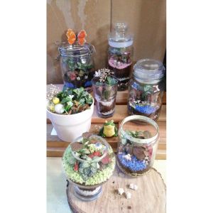 Hans Art Gallere 1.5-Hour Terrarium Workshop for 1 Person