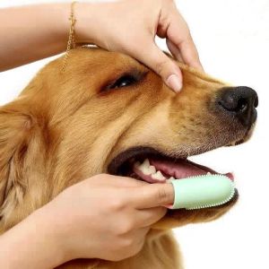 Pet toothbrush ， Finger Toothbrush ， Material “PP+TPR”， Soft rubber tooth cleaning brush with handle ， Dog and Cat Oral Cleaning Tools