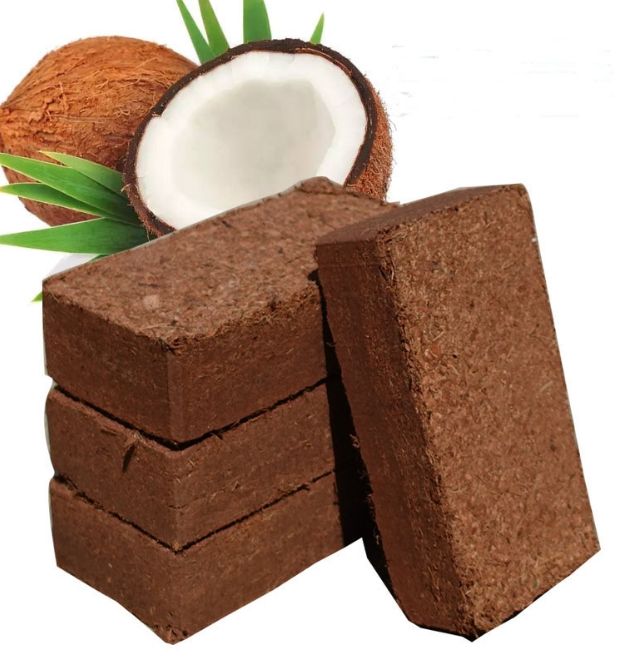 Coconut brick nutrient soil flower general type coconut soil special ...