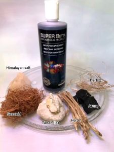 Super betta blackwater extract gromming ikan laga guppy betta seeseid herbal akira bettatonic