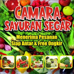 Spanduk Warung Sayuran Bisa Custom Suka-suka dan Free Desain
