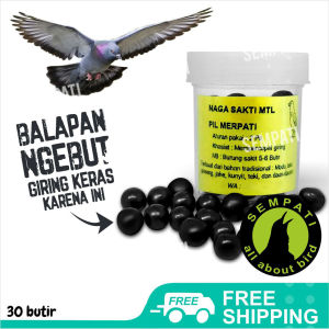 SEMPATI Pil Hitam Ginseng Teki Isi 30 Butir Jamu Keket Merpati Balap Obat Doping Merpati Balap Cepat Giring Jamu Merpati Kolongan Balap Tinggian Dopping Burung Dara Pos