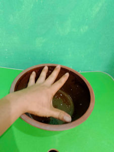 Chậu sành nhỏ 23 cm ( khoảng gang tay)