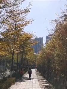 Windshield Sunshades for MG4 2023 MG MULAN EV Car Visors Car ProtectionTo Block The Sun Interior Parts Automobiles Accessories