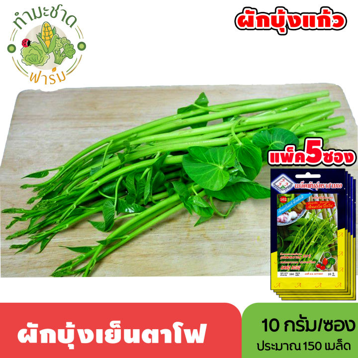 เมล็ดพันธุ์ 3A ผักบุ้งเย็นตาโฟ (แพ็ค 5 ซอง) สำหรับปลูกผักสวนครัว