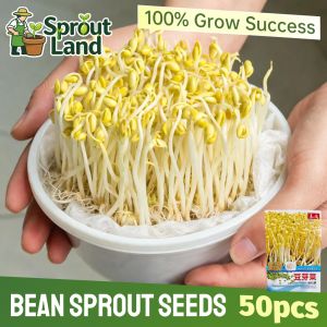 [High Germination] Fresh Bean Sprout Seeds for Planting Vegetable Plants (50 Seed) High Yield Hydroponic Bean Sprout Seeds Organic Heirloom Bean Sprout Vegetable Seeds for Gardening Balcony Indoor Potted Mung Bean Seedlings Easy To Grow in Philippines