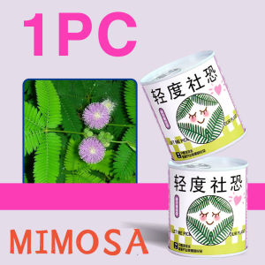 Blessings for Potted Plants Canned Plants Desktop Creativity Childrens DIY Gifts