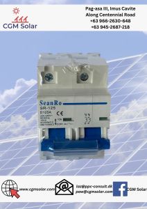 Seanro  AC circuit breaker 2p mcb 125a 220-240V Ac miniature circuit breaker