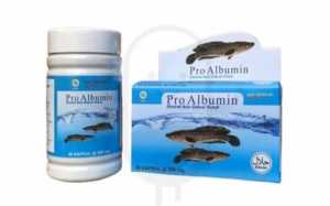 Kapsul ikan gabus kapsul kutuk kapsul pro albumin EXTRACT IKAN GABUS herbal pasca operasi redy BS COD