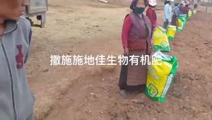 膨化闪溶磷酸二氢钾叶面肥工厂批发农用养花果树蔬菜水溶肥料飞防
