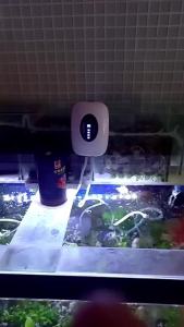 TerraLux USB Rechargeable Lithium Battery Portable Aquarium Air PumpOxygen Pump For
