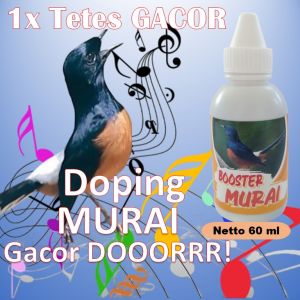 Booster Murai 60 ml / Vitamin murai batu biar gacor / Vitamin murai super fighter / Vitamin murai batu buat lomba / Vitamin murai batu / Vitamin murai trotol agar gacor / Vitamin murai anti ngelowo / Vitamin murai trotol / Vitamin murai drop mental