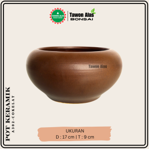 Pot Keramik Bonsai Sukulen Kaktus Bulat Kecil Small