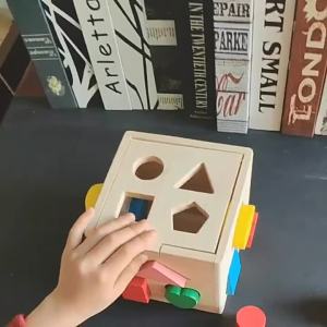 Wooden 13 Hole Shape Sorter Intelligence Baby Cognitive Matching Geometric Building Blocks Children Early Educational Toys